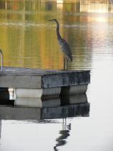 BarbLucente10 2010-159x213