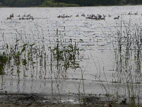 BarbLucente12 2011-285x214