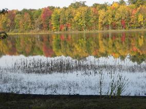 BarbLucente13 2010-284x213