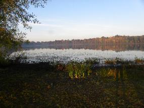 BarbLucente14 2010-285x214