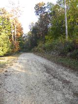 BarbLucente15 2010-160x214