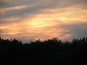 BarbLucente1 2011-284x213