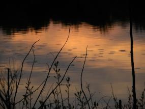 BarbLucente2 2011-285x214