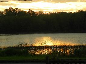 BarbLucente3 2011-285x214