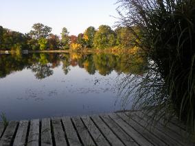 BarbLucente5 2010-284x213