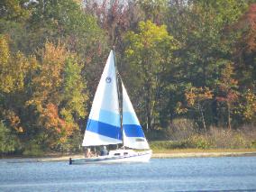 BarbLucente6 2010-284x213