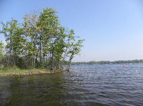 BarbLucente7 2011-288x215