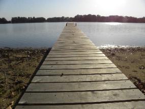 BarbLucente9 2010-285x214