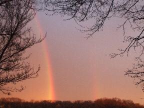 Beedie1 2007-288x216