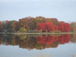 Beedie1 2008-304x228