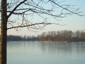 Beedie1 2009-285x214