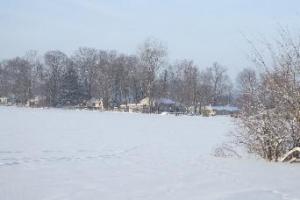 Beedie1 2010-342x228