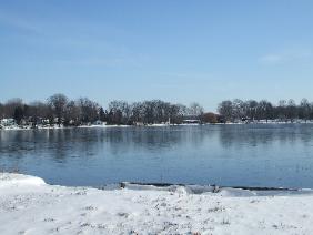 Beedie2 20092-282x212