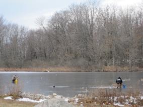 Cicchini1 2012-284x213