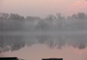 Cicchini3 2012-308x214