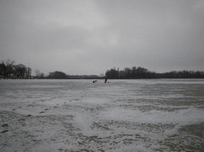 StuderMar2010-288x215